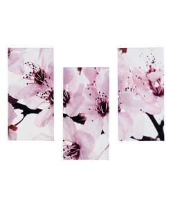 Blossom Canvas Set of 3