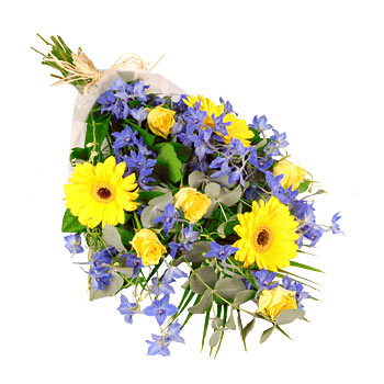 Blue and Yellow Giftwrap - flowers