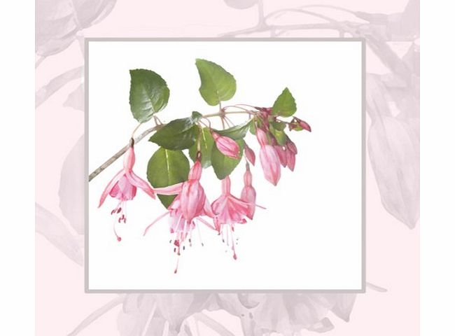 Blue Frog Pink Fuschia - Floral Blank or General, Occasional, Birthday Greeting Card. Flowers