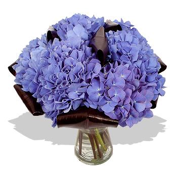 Blue Lagoon - flowers