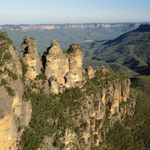 Blue Mountains Bush Walk - Child