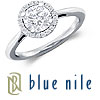 Blue Nile Cirque Engagement Ring Setting in Platinum