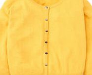 Boden Favourite Cropped Crew Neck, Yellow 34615203