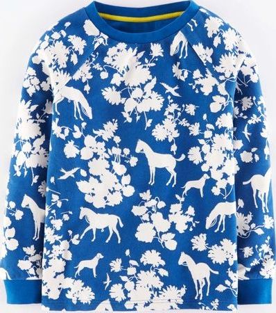 Boden, 1669[^]35138585 Raglan Printed Sweatshirt Sapphire Folk Print