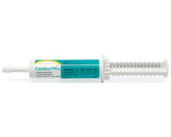 Boehringer Ingelheim Canikur Pro Paste Syringe (15ml)