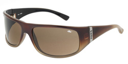 Bolle FAZE CREAM FRAME - DARK BROWN LENS