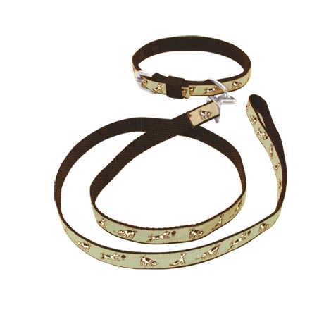 Vintage Dog Collar and Lead