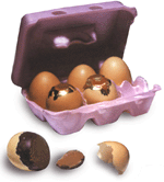 Chocolate filled eggs