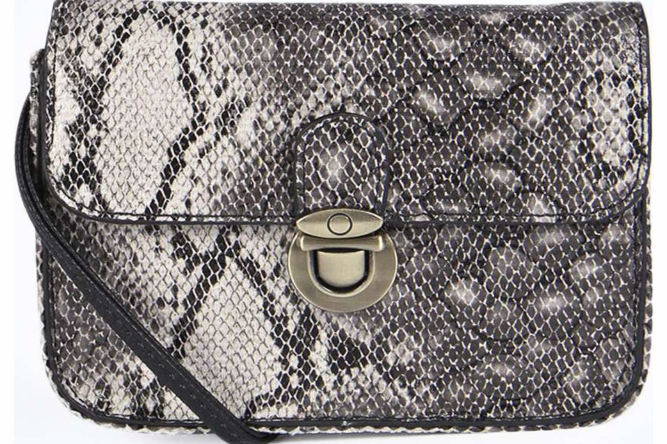 boohoo Harper Snake Print Cross Body Bag - grey azz18333
