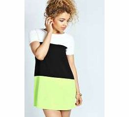 Kelly Striped Panel Shift Dress - lime azz31151