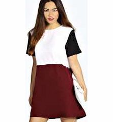 boohoo Lola Colour Block Shift Dress - plum azz22824