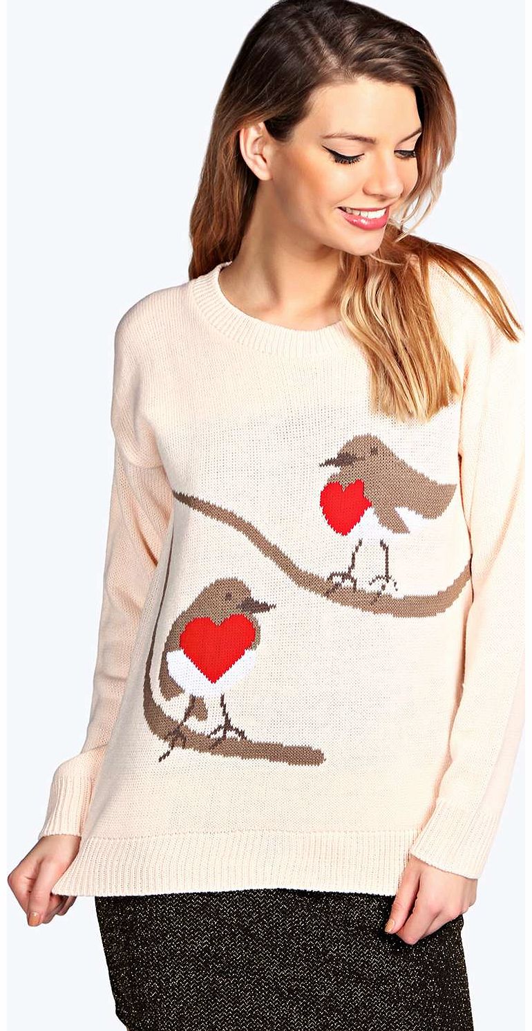 boohoo Robin Red Breast Jumper - nude azz14831