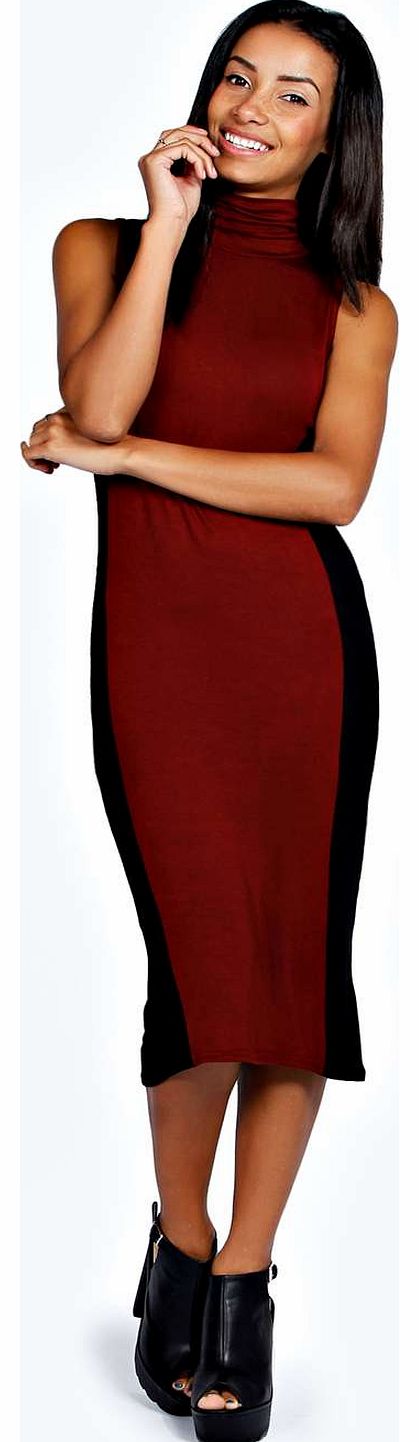 boohoo Sasha Turtle Neck Stripe Midi Dress - berry