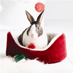 Boredom Breaker Christmas Bed for Rabbits and Guinea Pigs by Boredom Breaker