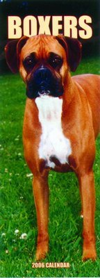 Boxer SLIM Calendar