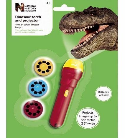 Brainstorm Kids Play Natural History Educational Toy Museum Dinosaur Torch 