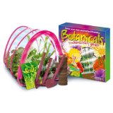 World Alive Botanicals Enchanted Fairy Garden