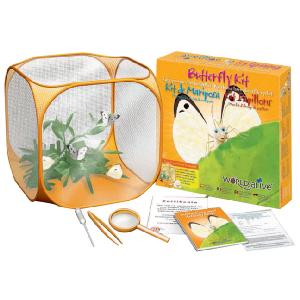 World Alive Butterfly Kit