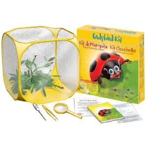 Brainstorm World Alive Ladybird Kit