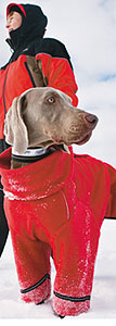 Bramton Company Hurrta Fleece Overall Red