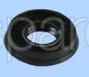 Brandt Bearing Seal