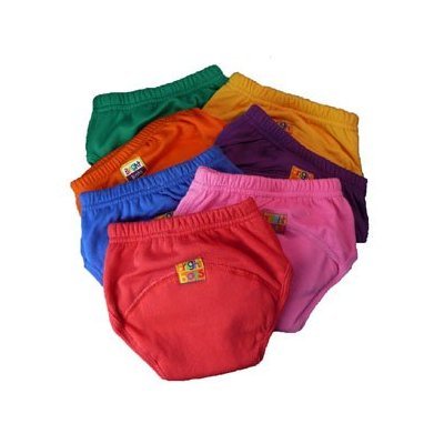 Bright Bots Washable Potty Training Pants 4pk Extra Large with PUL Lining - Boy (approx 2-3yr)