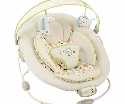 Bright Starts Comfort and Harmony Bouncer,