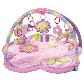 Pretty in Pink Supreme Play Gym
