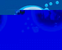 Brighton SEA LIFE Centre - Special Offer Adult