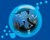 SEA LIFE Centre Adult - Group Ticket