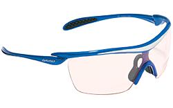 Endure Evo Glasses