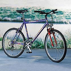 British Eagle Mens Mission Bicycle