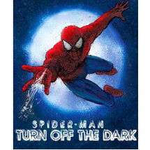 Broadway Shows - Spider-Man: Turn Off the Dark -