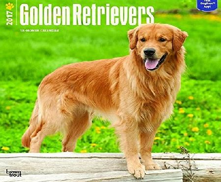 Brown Trout Publishers Golden Retrievers 2017 Square Wall Calendar