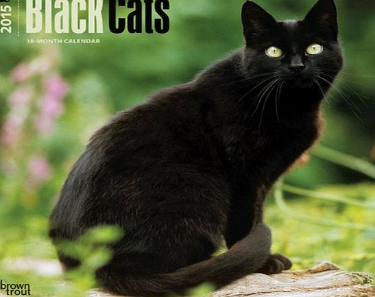 BrownTrout Publishers Black Cats 2015 Wall Calendar