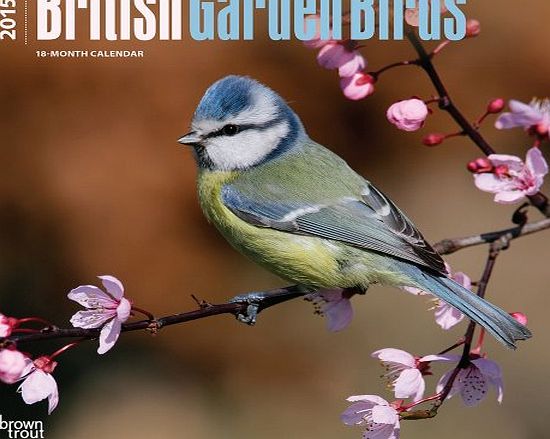 BrownTrout Publishers British Garden Birds 2015 Wall