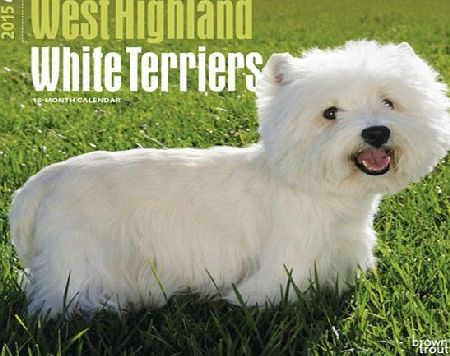 BrownTrout Publishers West Highland White Terriers 2015 Wall Calendar