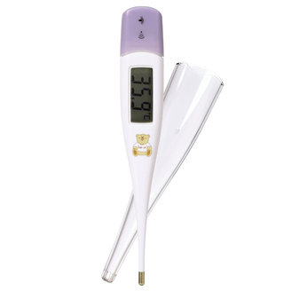 Bruin Classic Digital Thermometer