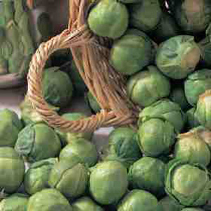 Brussels Sprout Bedford Fillbasket Seeds