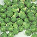 brussels Sprouts Cumulus F1 Seeds