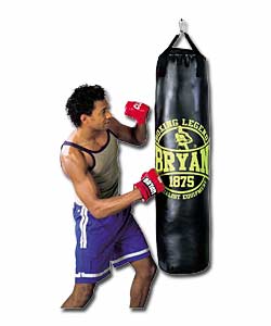 Bryan Pro Gym Punchbag and Mitts