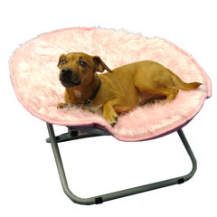 bucchi Designer Bed/Chair