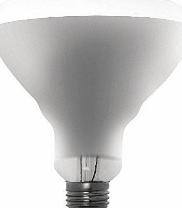 Buffalo Shatterproof Heat Lamp - 250W ES