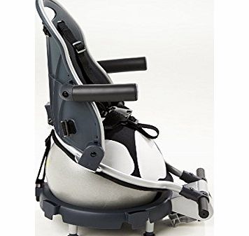 Buggypod Perle, Fresian cow