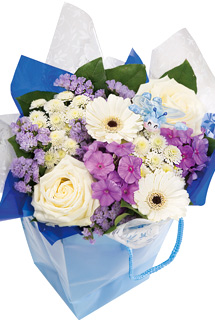 Bunches Baby Boy Gift