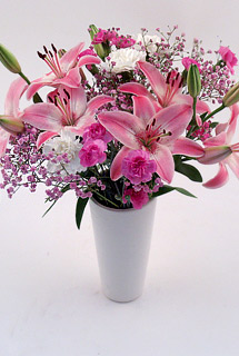 Bunches Cherry Blossom