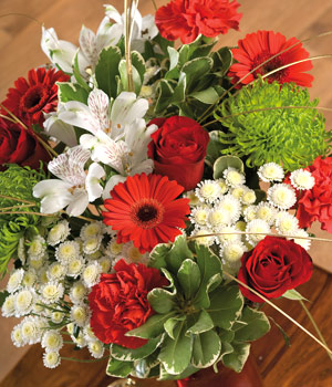 Bunches Christmas Cheer