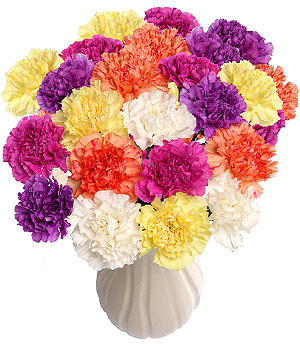 Bunches.co.uk 30 Funky Carnations FUNK30