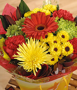 Bunches.co.uk Bags of Fun