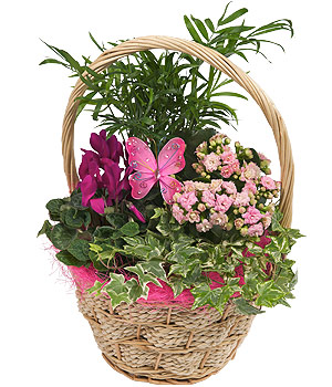 Bunches.co.uk Beautiful Butterfly Basket PMBASK
